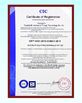 Porcellana Silurian Bearing Factory Certificazioni